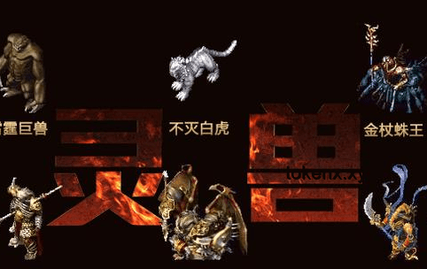 《功夫》爆款拉片启示录：穿云箭响，影视江湖的热血与梦想